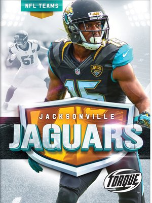 The Jacksonville Jaguars Story - ebook